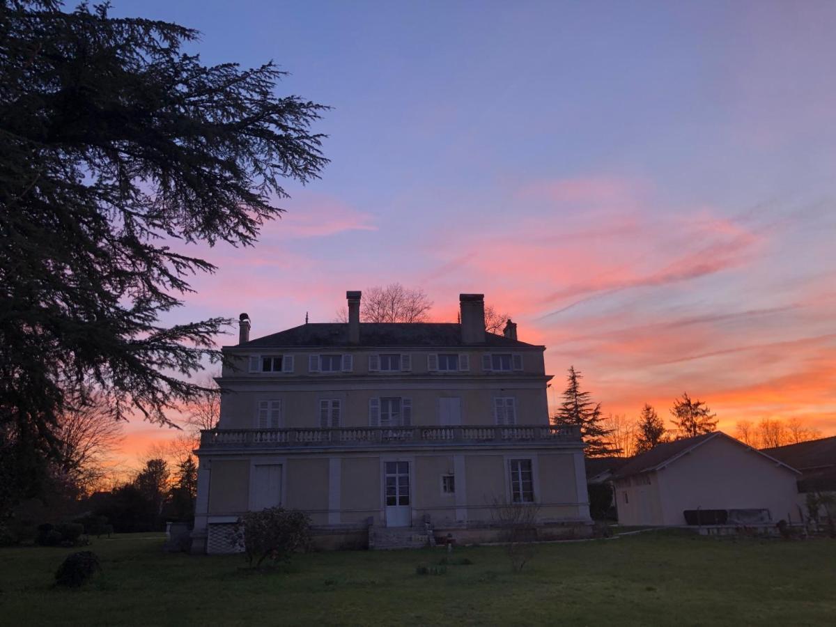 La Maison Au Cedre Marsac-sur-l'Isle Dış mekan fotoğraf